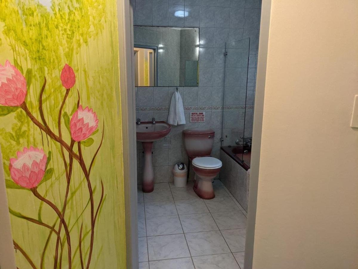 Villa Cape Garden Route 维德尼斯 外观 照片