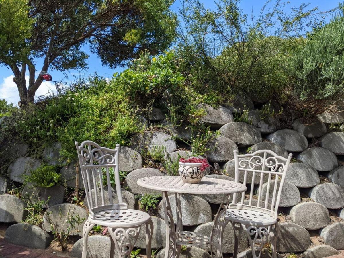 Villa Cape Garden Route 维德尼斯 外观 照片