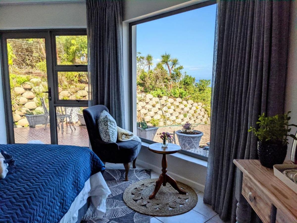 Villa Cape Garden Route 维德尼斯 外观 照片