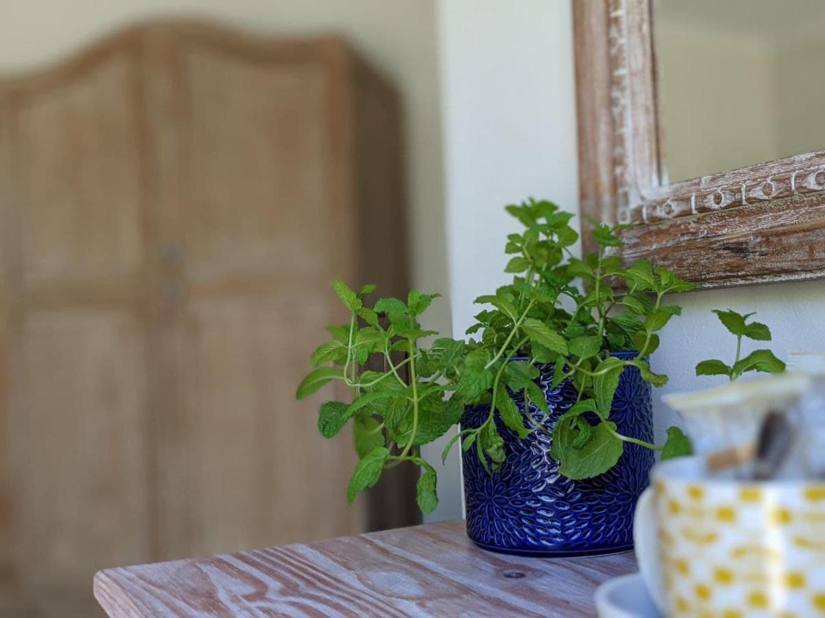 Villa Cape Garden Route 维德尼斯 外观 照片
