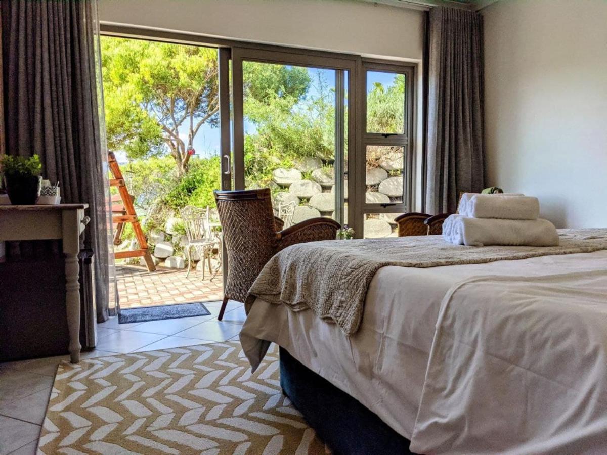 Villa Cape Garden Route 维德尼斯 外观 照片