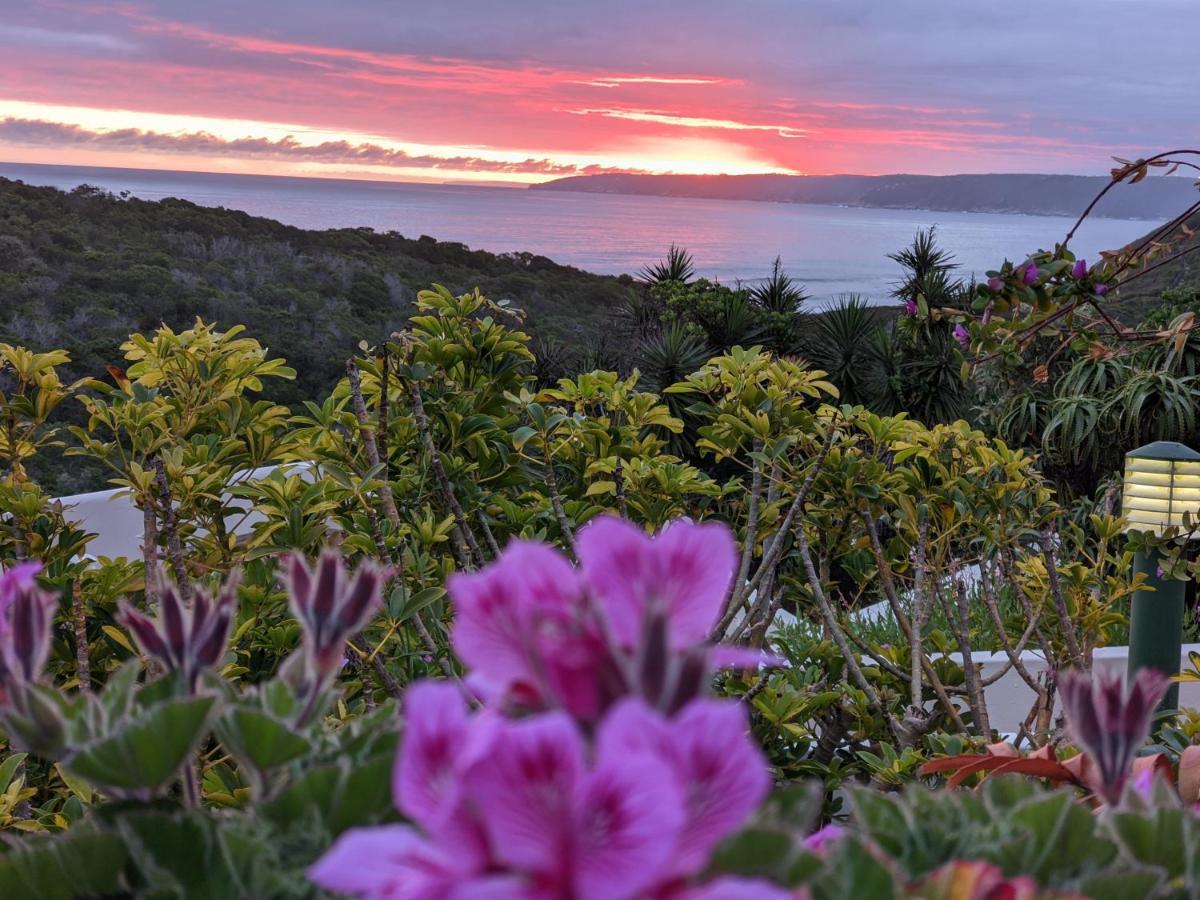 Villa Cape Garden Route 维德尼斯 外观 照片