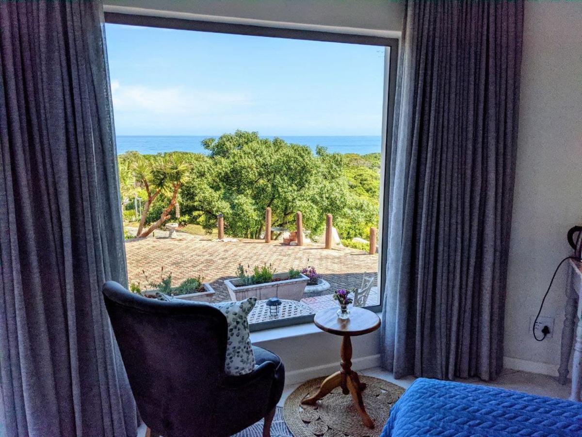 Villa Cape Garden Route 维德尼斯 外观 照片