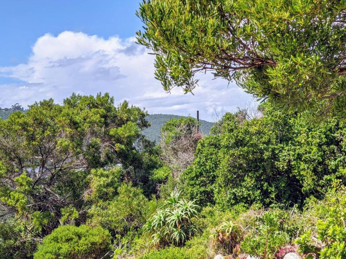 Villa Cape Garden Route 维德尼斯 外观 照片