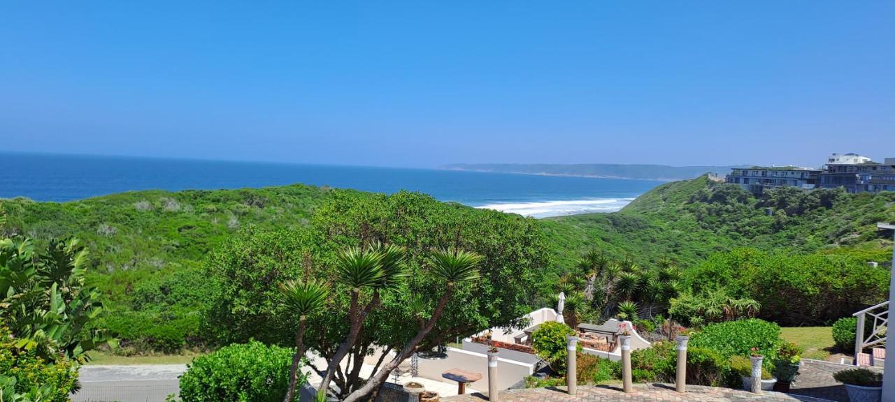 Villa Cape Garden Route 维德尼斯 外观 照片