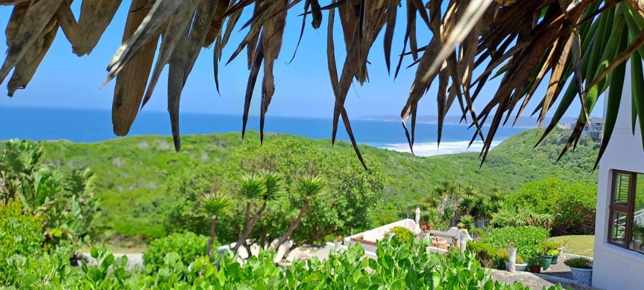 Villa Cape Garden Route 维德尼斯 外观 照片